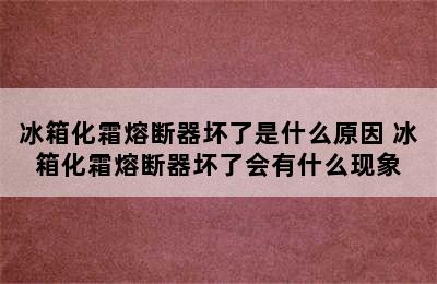 冰箱化霜熔断器坏了是什么原因 冰箱化霜熔断器坏了会有什么现象